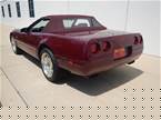 1993 Chevrolet Corvette Picture 3