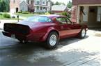 1979 Pontiac Trans Am Picture 3