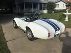 1965 Shelby Cobra Picture 3