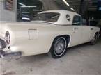 1957 Ford Thunderbird Picture 3
