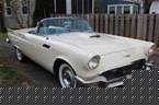 1957 Ford Thunderbird Picture 3