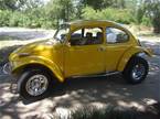 1969 Volkswagen Beettle Picture 4