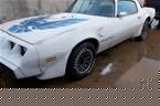 1980 Pontiac Trans Am Picture 4