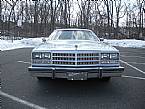 1977 Buick Century Picture 4