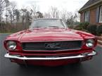 1966 Ford Mustang Picture 4