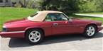 1995 Jaguar XJS Picture 4