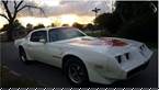 1979 Pontiac Trans Am Picture 4