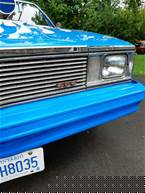 1981 Chevrolet El Camino Picture 4