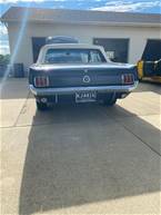 1964 Ford Mustang Picture 4