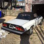 1986 Alfa Romeo Spider Picture 4