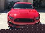 2016 Ford Shelby Picture 4