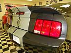 2007 Ford Shelby Picture 4