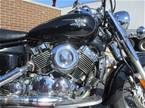 2009 Yamaha V Star Picture 4