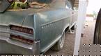 1966 Buick Wildcat Picture 4