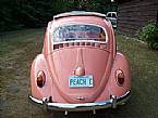 1963 Volkswagen Beetle Picture 4