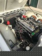 1964 Triumph TR4 Picture 4