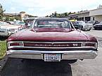 1966 Chevrolet Chevelle Picture 4