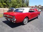 1966 Ford Mustang Picture 4