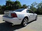 2003 Ford Mustang Picture 4