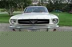 1964 1/2 Ford Mustang Picture 4
