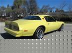 1978 Pontiac Firebird Picture 4