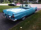 1955 Ford Thunderbird Picture 4