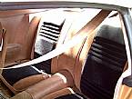1979 Pontiac Firebird Picture 4