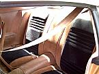 1979 Pontiac Firebird Picture 4