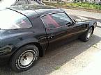 1981 Pontiac Trans Am Picture 4