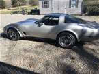 1981 Chevrolet Corvette Picture 4