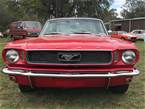 1966 Ford Mustang Picture 4