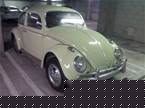 1963 Volkswagen Beetle Picture 4