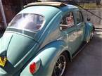 1962 Volkswagen Beetle Picture 4