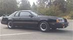 1985 Ford Thunderbird Picture 4