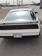 1983 Pontiac Trans Am Picture 4