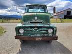 1955 Ford C600 Picture 4