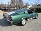 1967 Shelby GT500 Picture 4