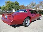 1976 Pontiac Trans Am Picture 4