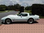 1979 Chevrolet Corvette Picture 4