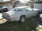 1975 Pontiac Firebird Picture 4