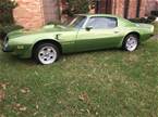 1974 Pontiac Trans Am Picture 4