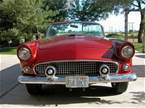 1956 Ford Thunderbird Picture 4