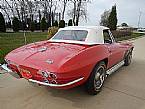 1966 Chevrolet Corvette Picture 4