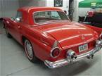 1955 Ford Thunderbird Picture 4