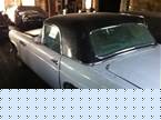 1955 Ford Thunderbird Picture 4