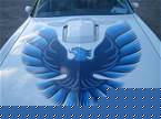 1979 Pontiac Trans Am Picture 4