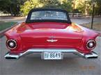 1957 Ford Thunderbird Picture 4