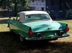 1955 Ford Thunderbird Picture 4