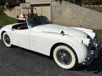 1959 Jaguar XK150 Picture 4