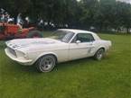 1967 Ford Mustang Picture 4